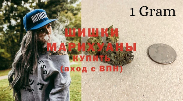 прущие грибы Покачи