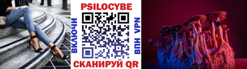 где купить наркотик  Неман  Псилоцибиновые грибы Cubensis 